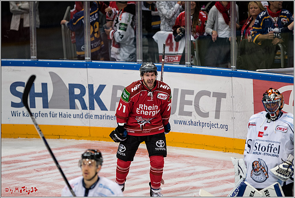 Koelner Haie - Straubing Tigers, 03.10.2016